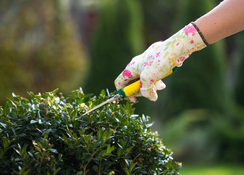 Accessibility statement introduction for Gardeners Upminster