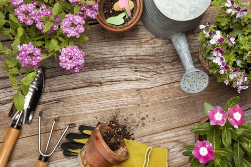 Illustration representing essential cookies on a gardening website