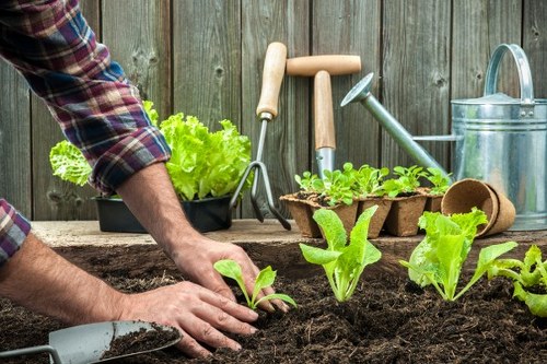 Gardeners Upminster introduction with local garden care focus