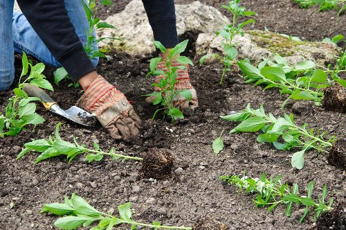 Cancellation and liability terms for gardening work