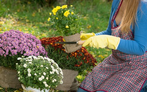 Transparent gardening quotes for homes in Upminster