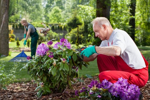 Discussing a resolved issue in a professional garden service