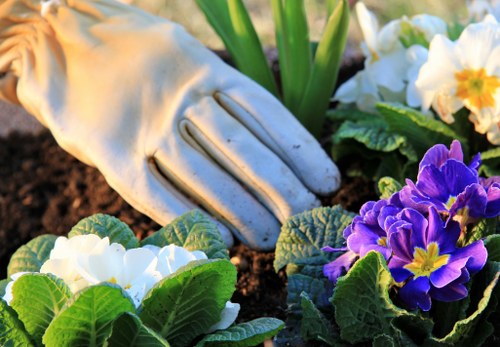 Free quote policy for Upminster garden services