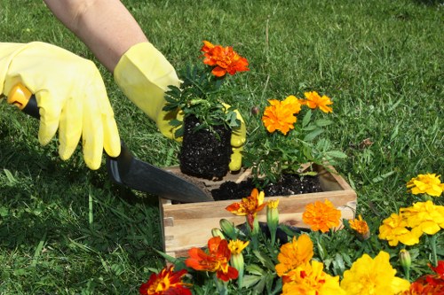 Reviewing a gardening service concern with care