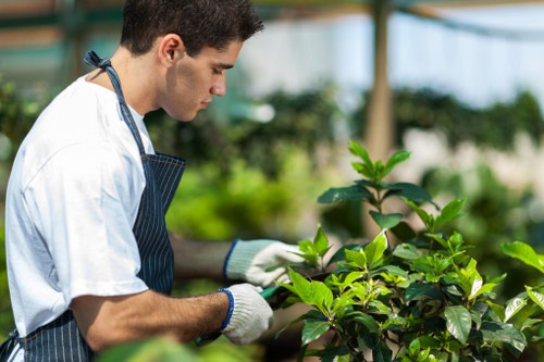 Local Upminster gardeners creating healthy and well-kept gardens