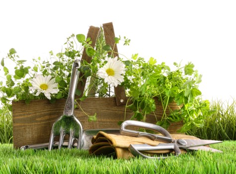 Screen-reader support and accessible site structure for Upminster gardening