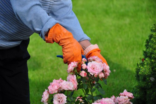 Eco-friendly garden recycling and sustainability practices for Upminster gardeners