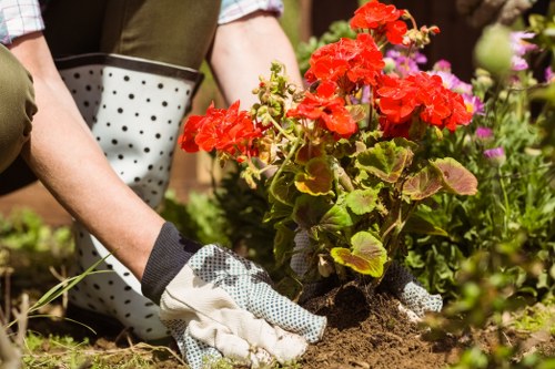 Seasonal planting and garden maintenance in Upminster
