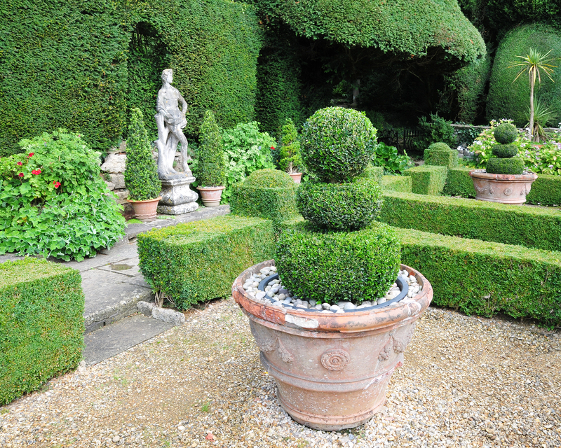 garden care Garden