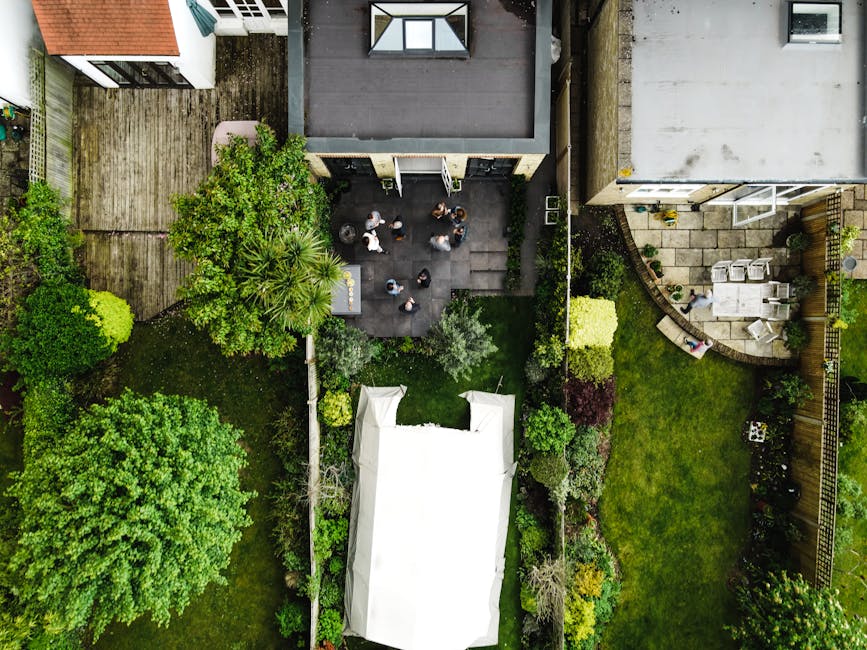 An aerial view of a residential garden showing a well-maintained lawn bordered by a variety of lush shrubs and trees, with some bushes exhibiting vibrant green foliage. The garden features a stone pat